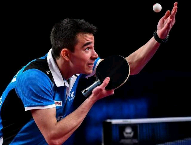 皇家社会的 皇家社会的