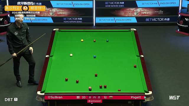 赢世锦赛只是新开始 骆建佑：未来路更漫长