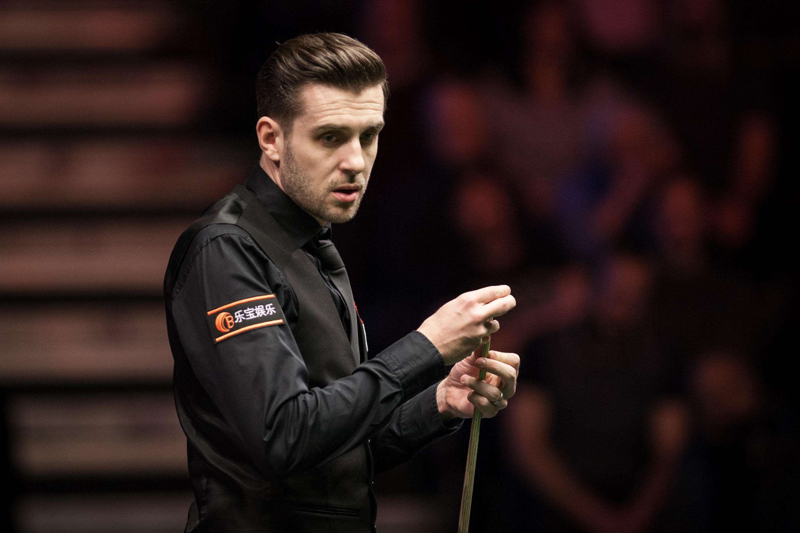 浙江女篮的 浙江女篮的