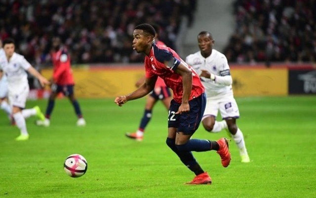 欧国联-加克波破门贝尔温进球 荷兰2-0波兰稳居榜首.